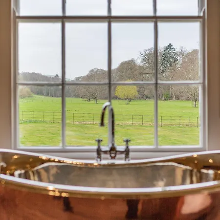 Meadow View-uk36729 *